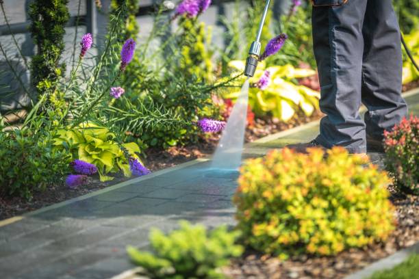 Best House Exterior Washing  in Yreka, CA